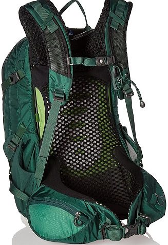 Osprey Manta AG 36 Spruce Green Back